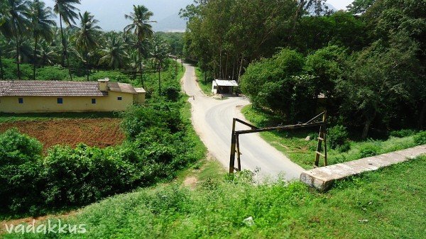 A pleasant afternoon near the Kerala - TN border at Ettimadai