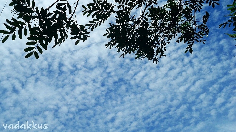 Cirrocumulous Clouds