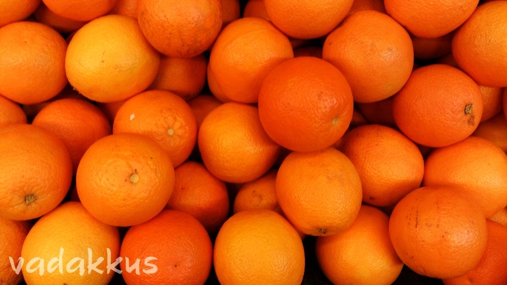 Closeup Photo of Fresh Oranges