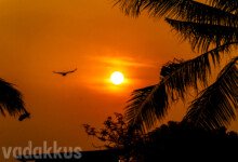 tropical sunset golden orange