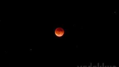 Photo of Lunar Eclipse in Kerala