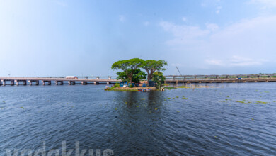 Thannermukkom Bund Kerala Backwaters Vembanad Lake Alappuzha Kottayam